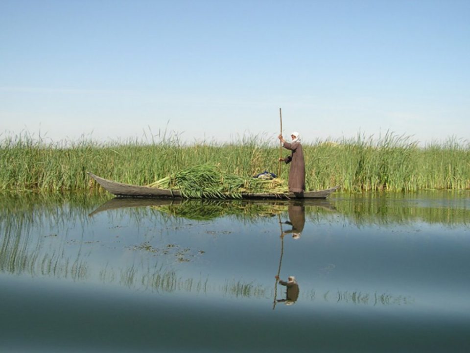 En mann i båt langs Mesopotamias våtmarksområde. Foto: Nature Iraq/CIMI/BirdLife International